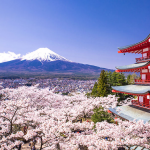 เที่ยวญี่ปุ่นช่วงปลายปี ซื้อตั๋วที่ไหนราคาถูกที่สุด?